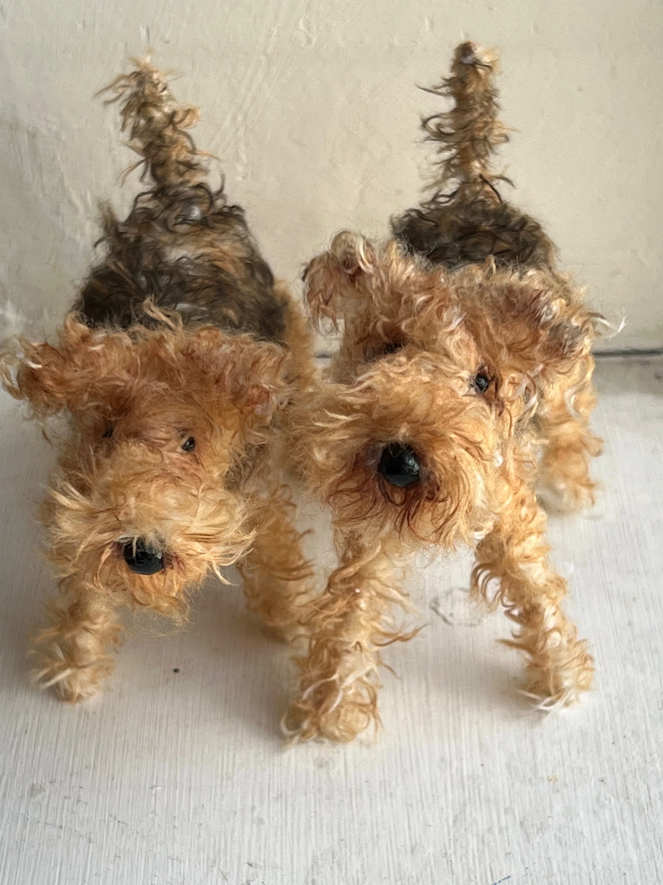 Airedale - Image 10