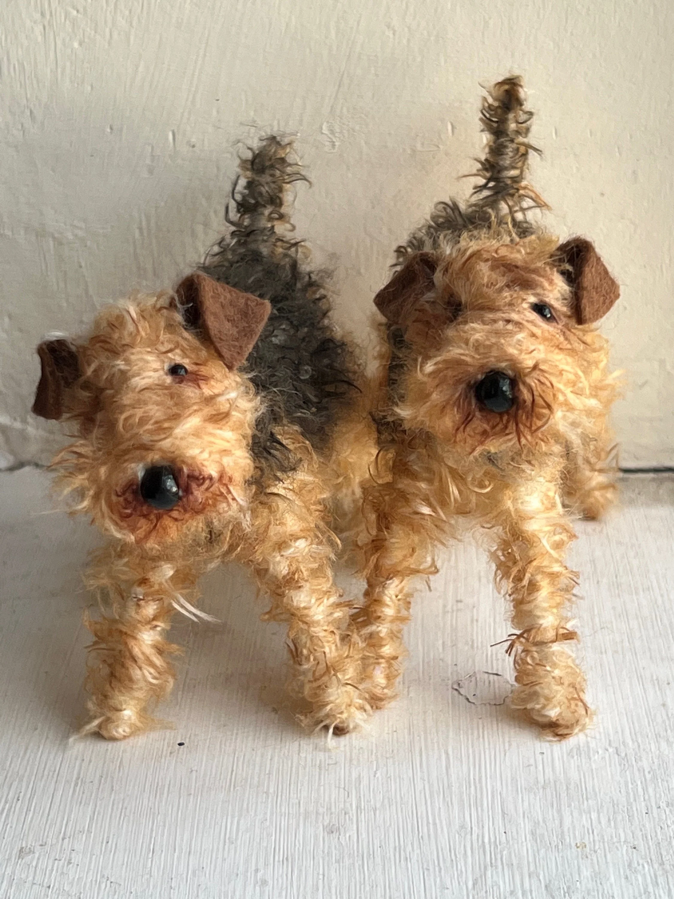 Airedale - Image 4