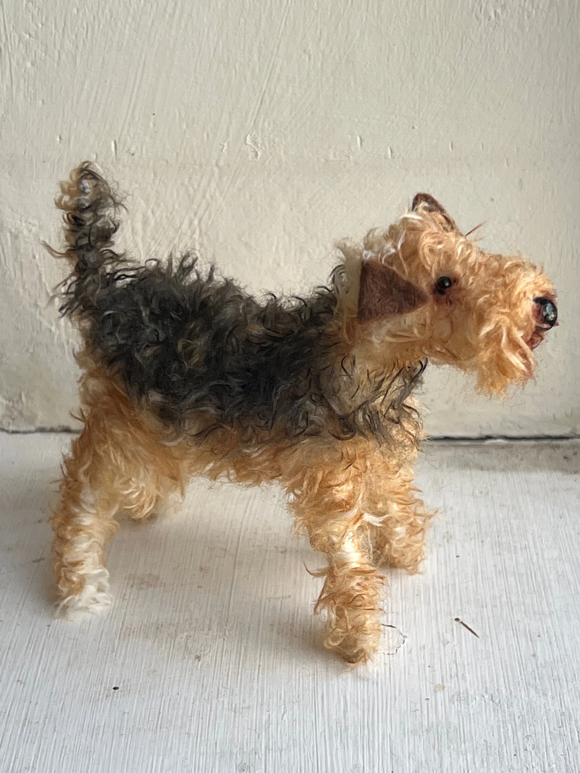 Airedale - Image 7