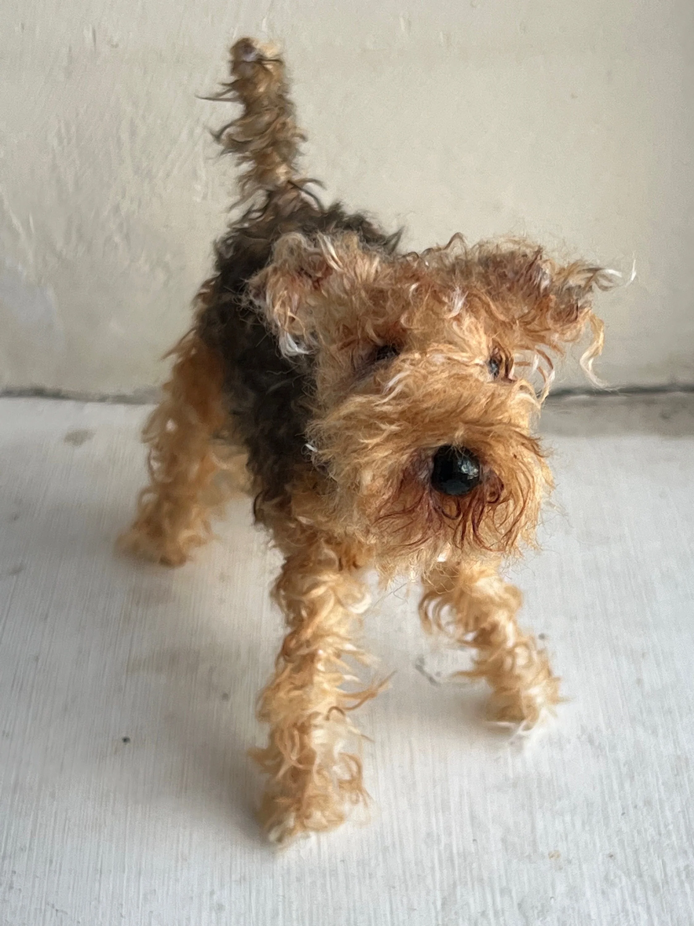 Airedale - Image 8
