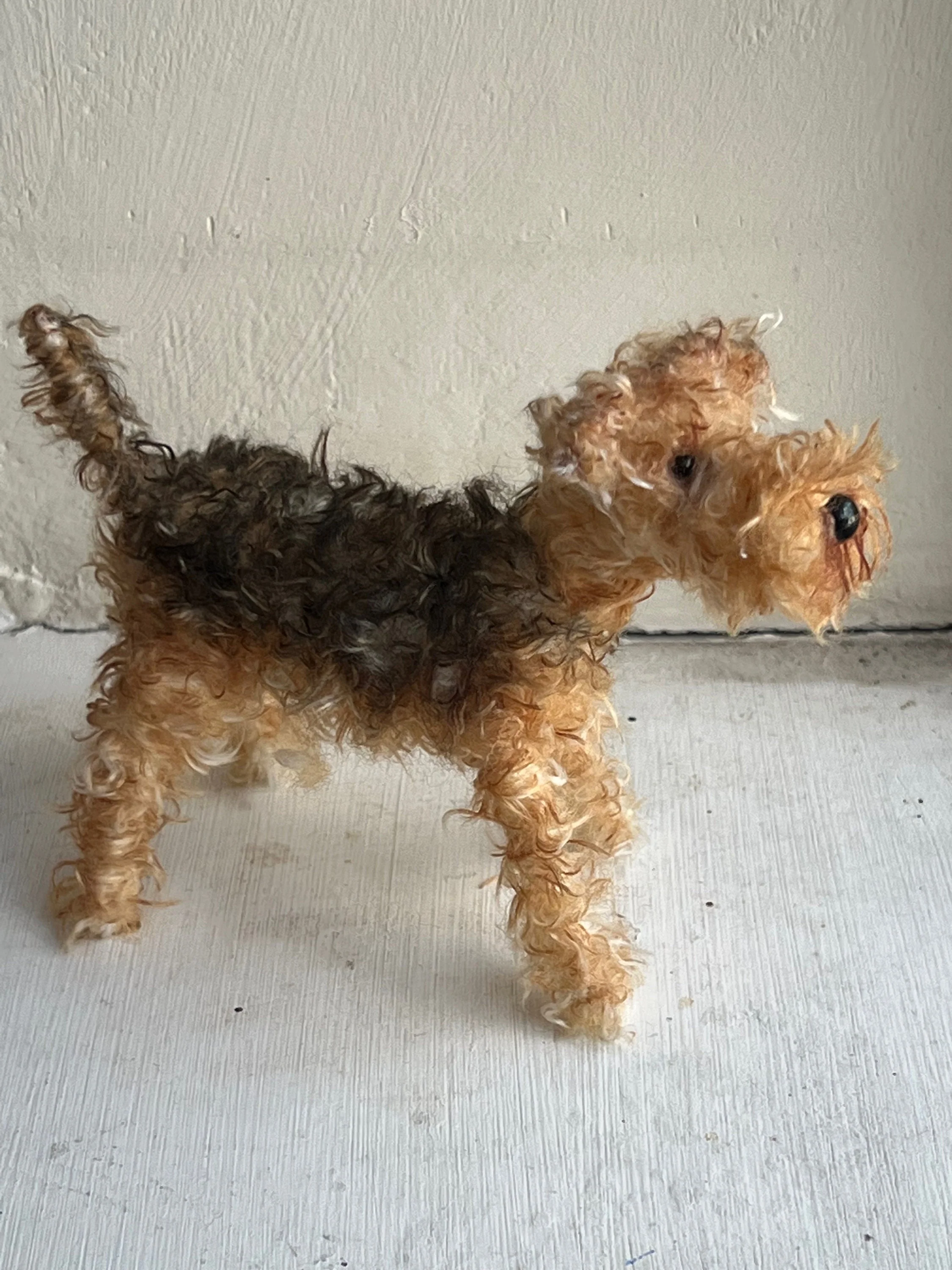 Airedale - Image 9