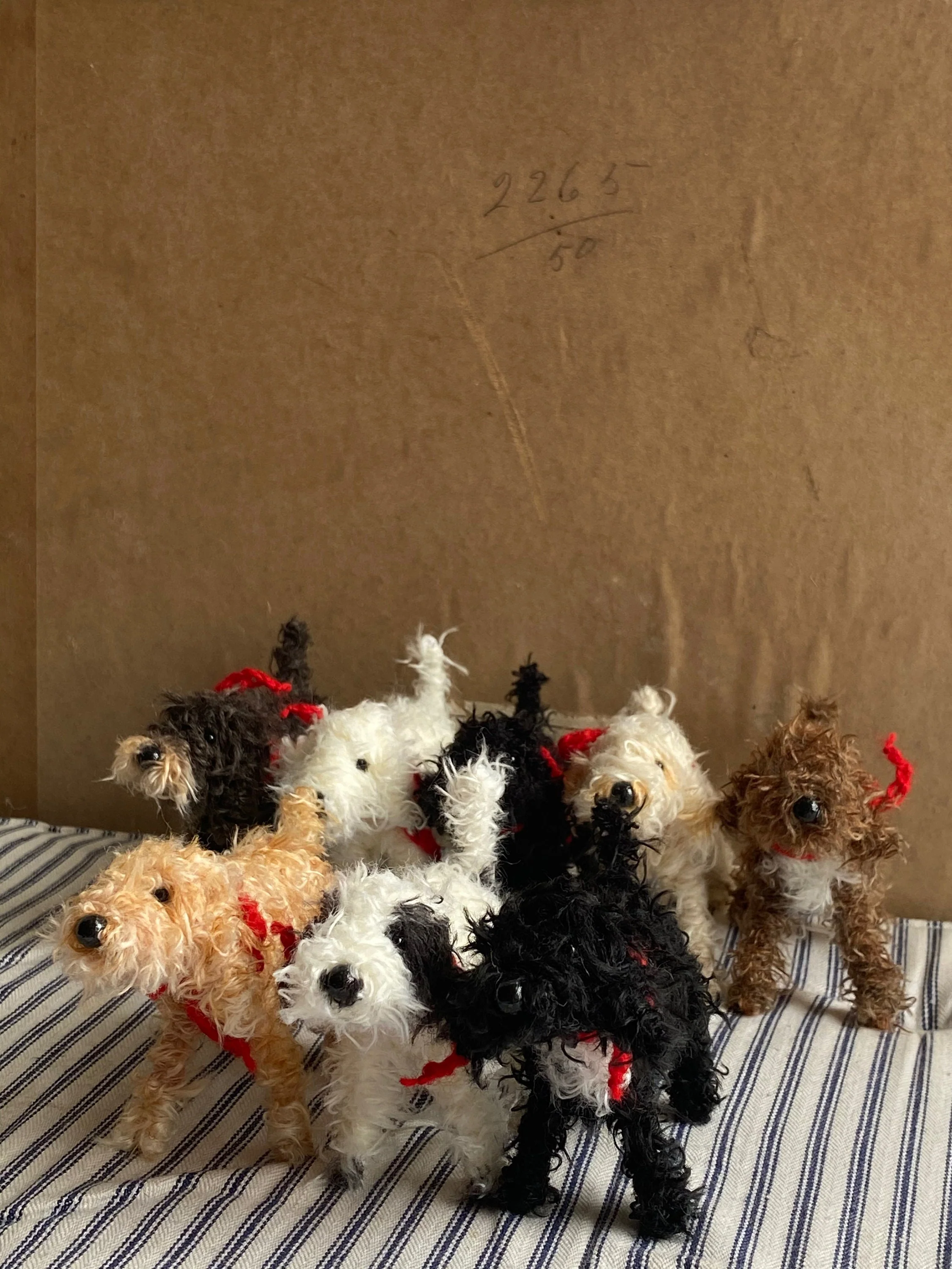Apricot cockapoo, Apricot Cavachon, Apricot Labradoodle - Image 9