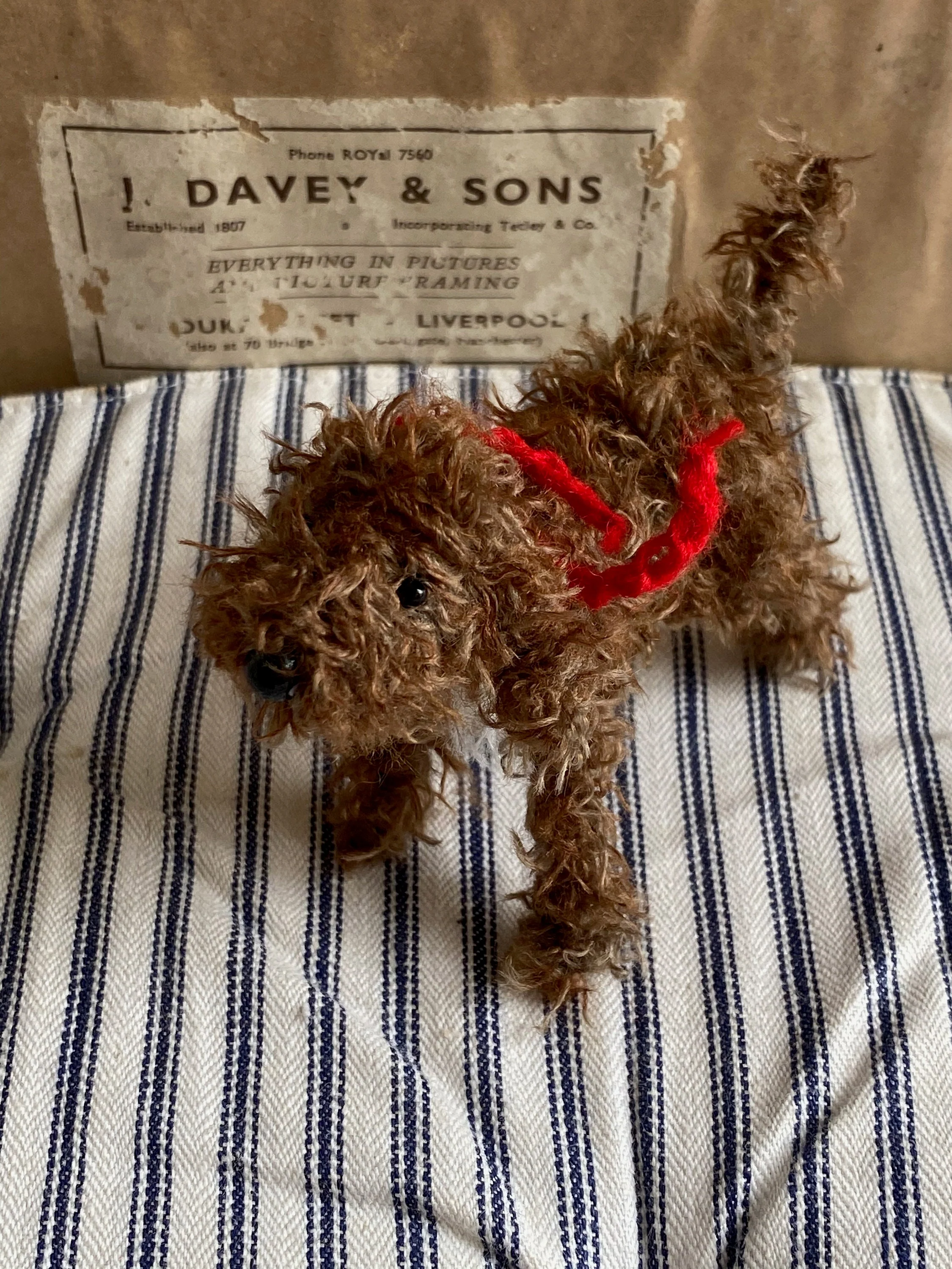 Brown Cockapoo, Cavapoo, Labradoodle. Poodlemix ornament. - Image 5