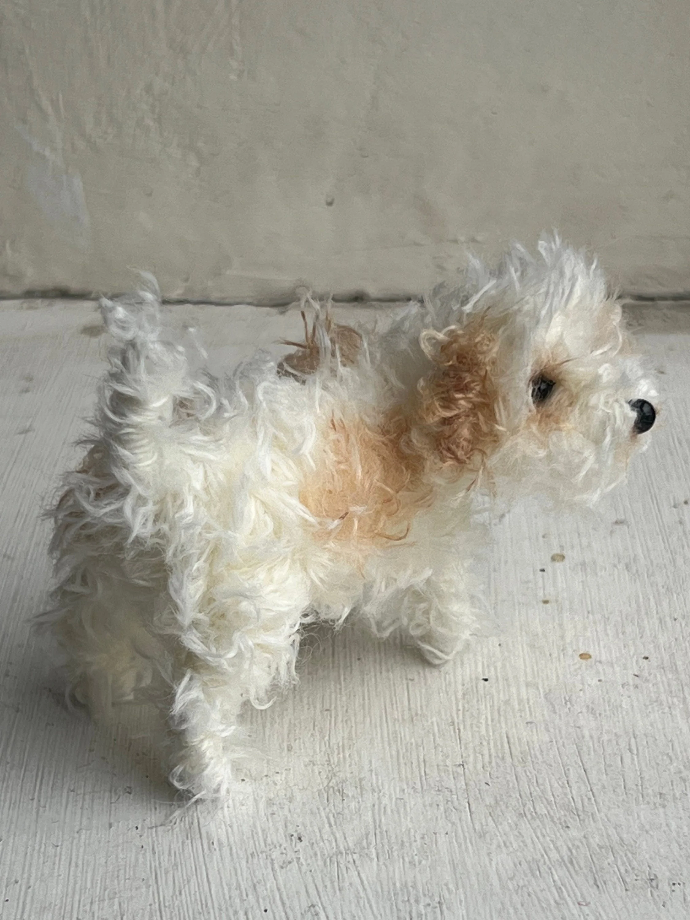 Cavachon decoration/miniature/ornament - Image 7