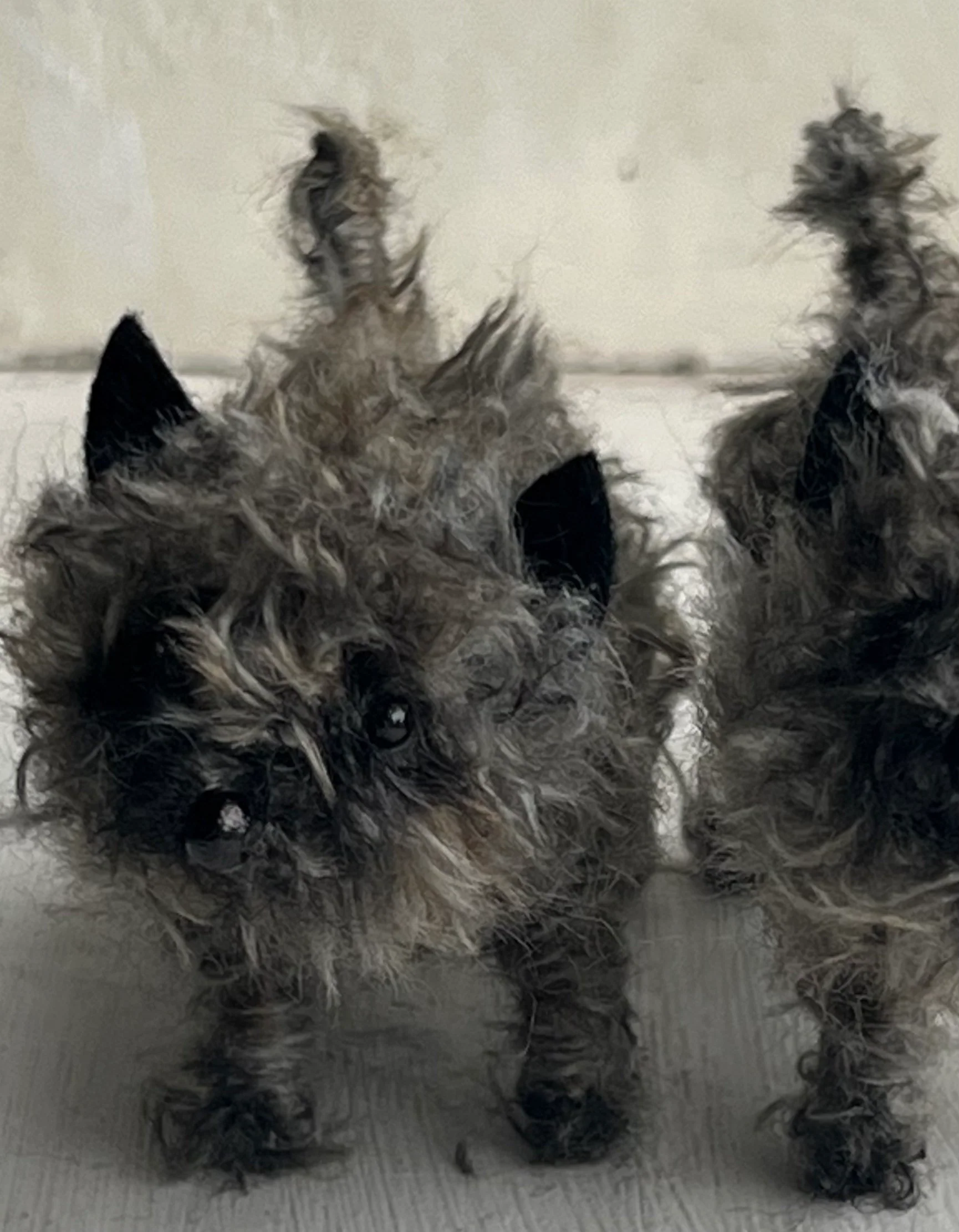 Grey Cairn miniature - Image 3