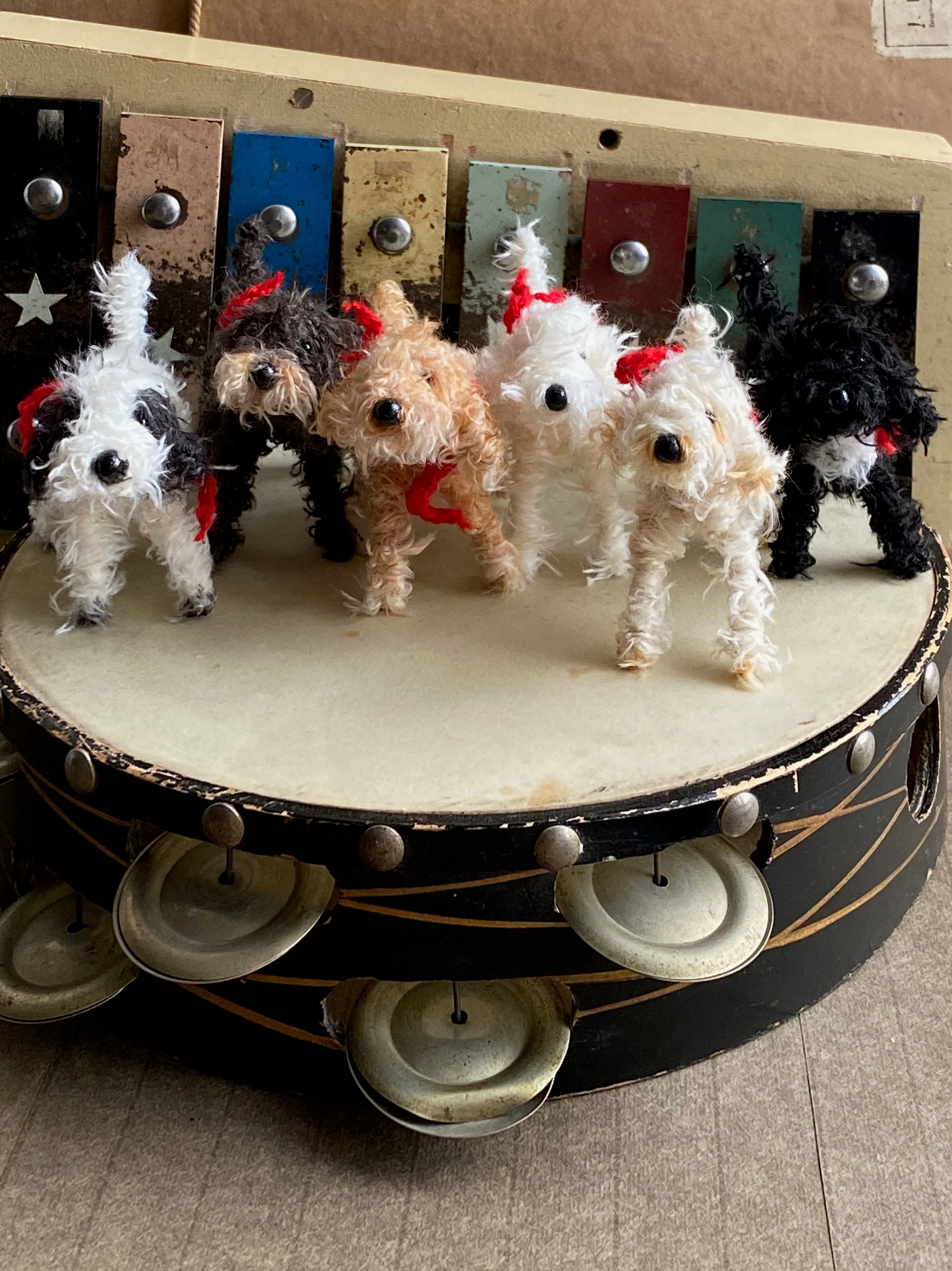 Handmade miniature black and white Cockapoo, Labradoodle, Cavapoo - Image 4