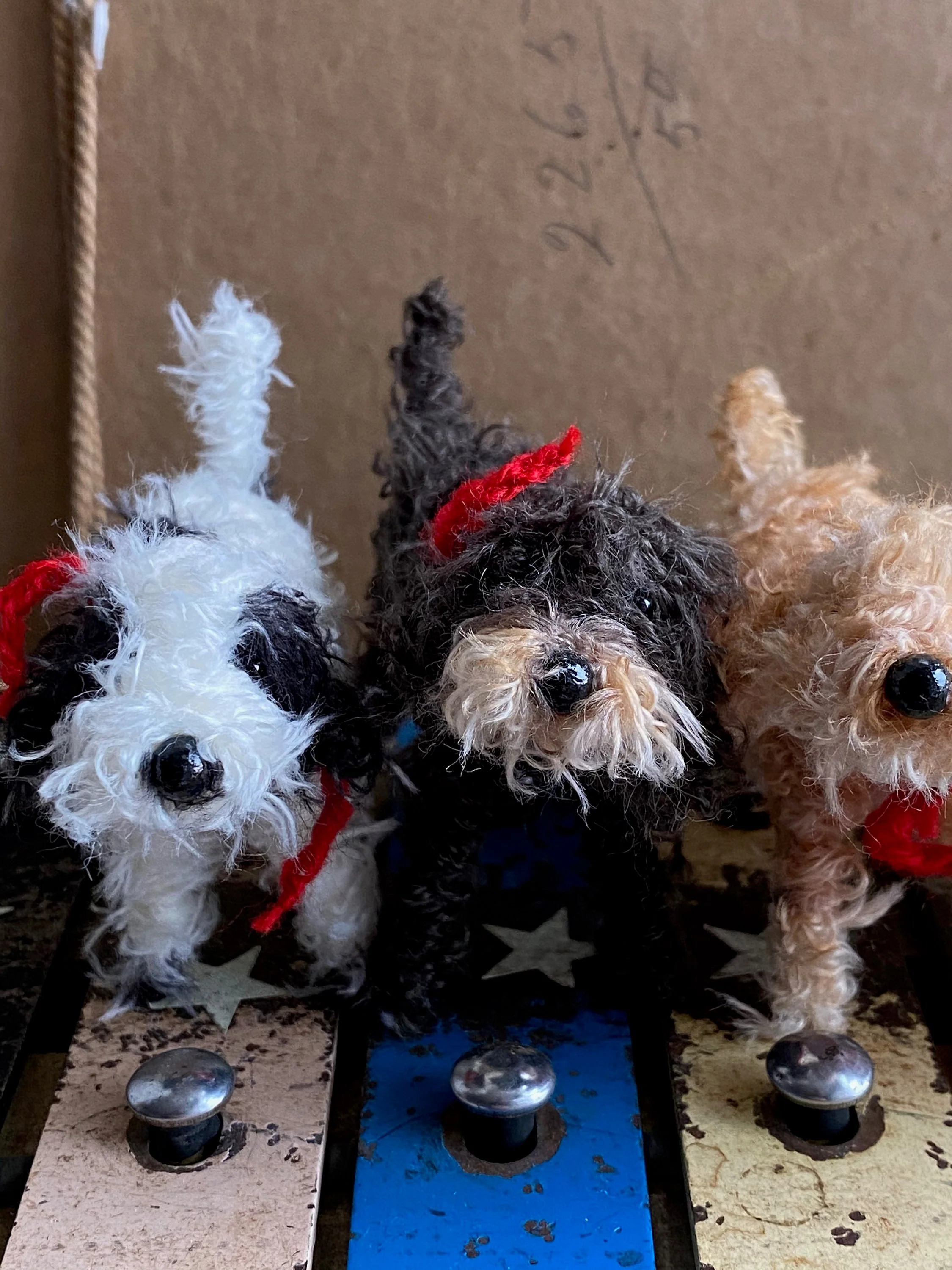 Handmade miniature black and white Cockapoo, Labradoodle, Cavapoo - Image 5