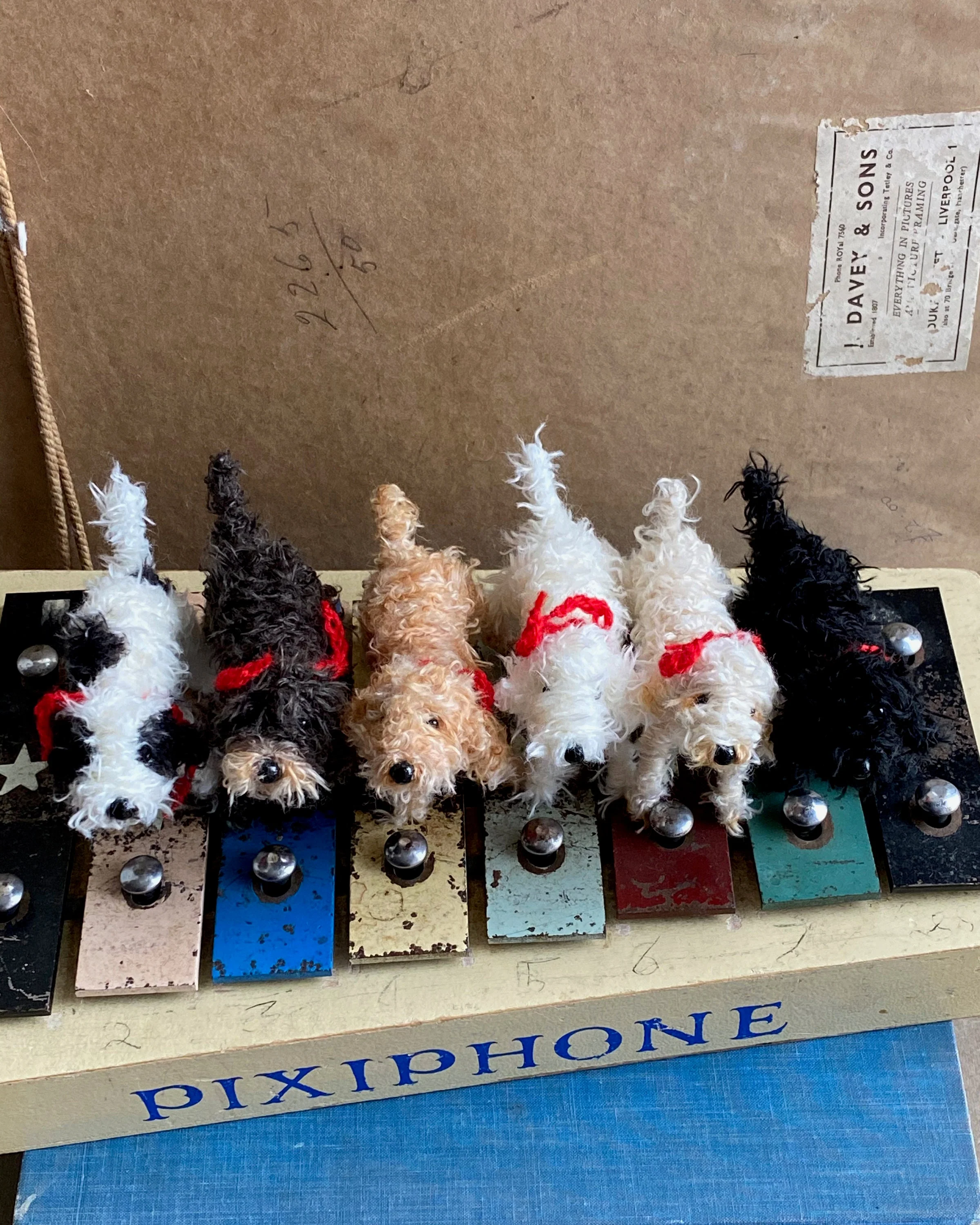 Handmade miniature black and white Cockapoo, Labradoodle, Cavapoo - Image 6