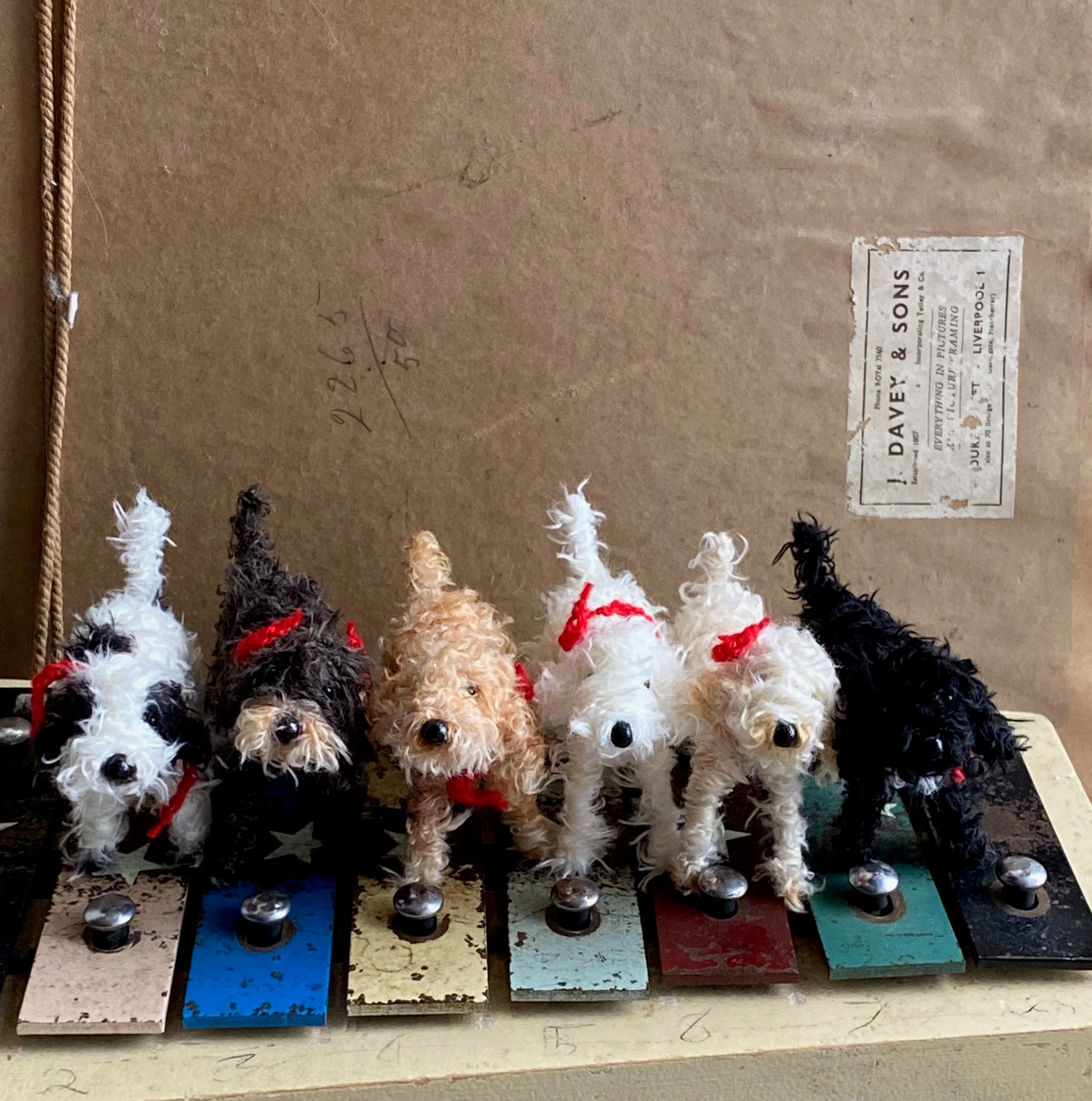 Handmade miniature black and white Cockapoo, Labradoodle, Cavapoo - Image 8