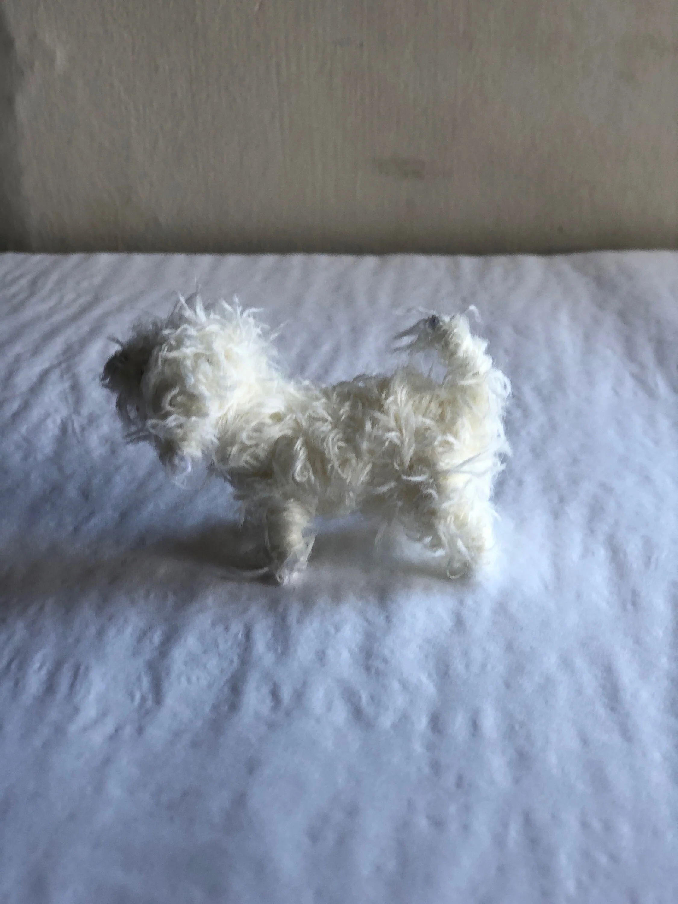 Miniature Bichon Frise dog decoration/ornament. - Image 4