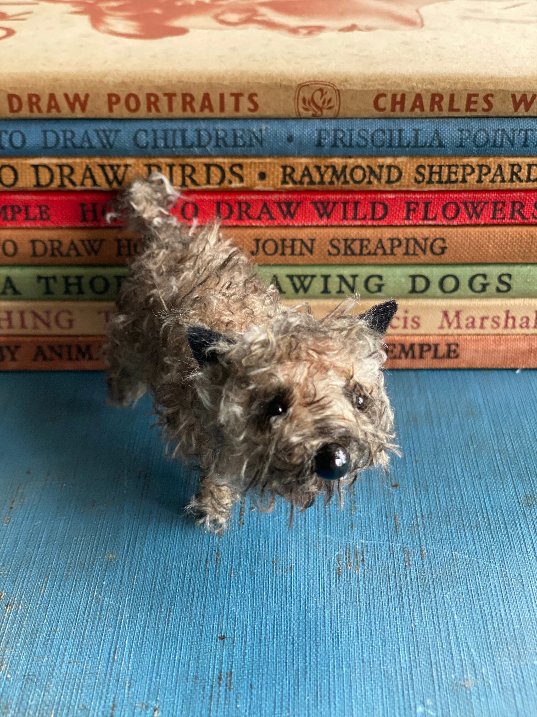 Miniature Cairn Terrier. - Image 4
