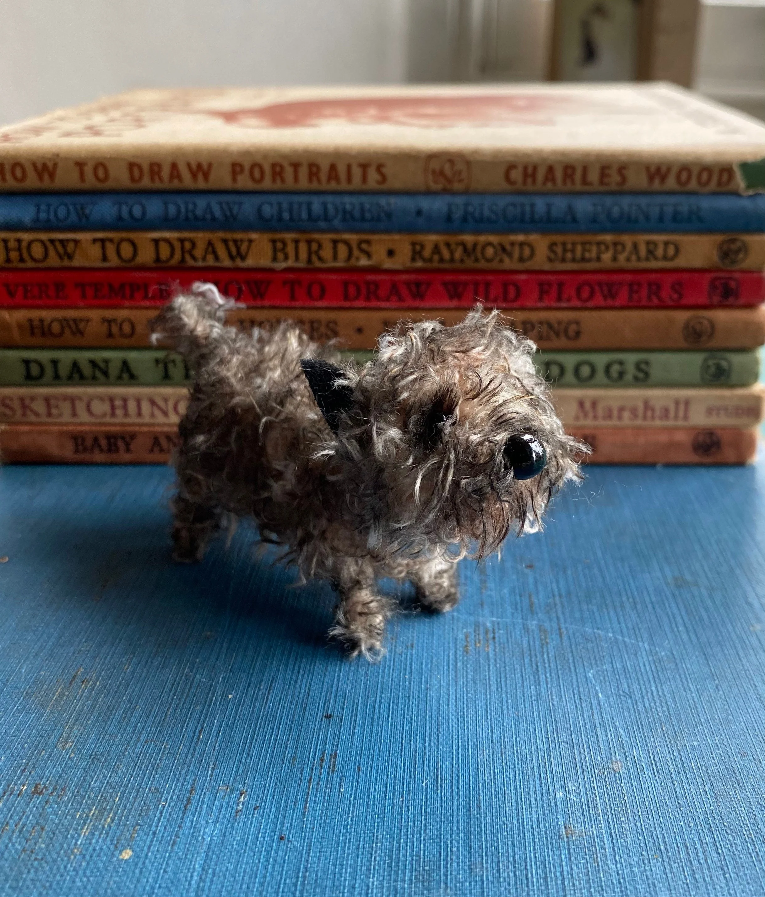 Miniature Cairn Terrier. - Image 5