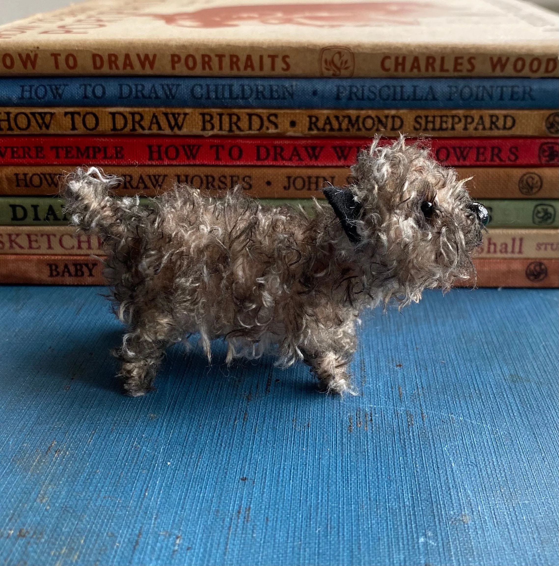 Miniature Cairn Terrier. - Image 6