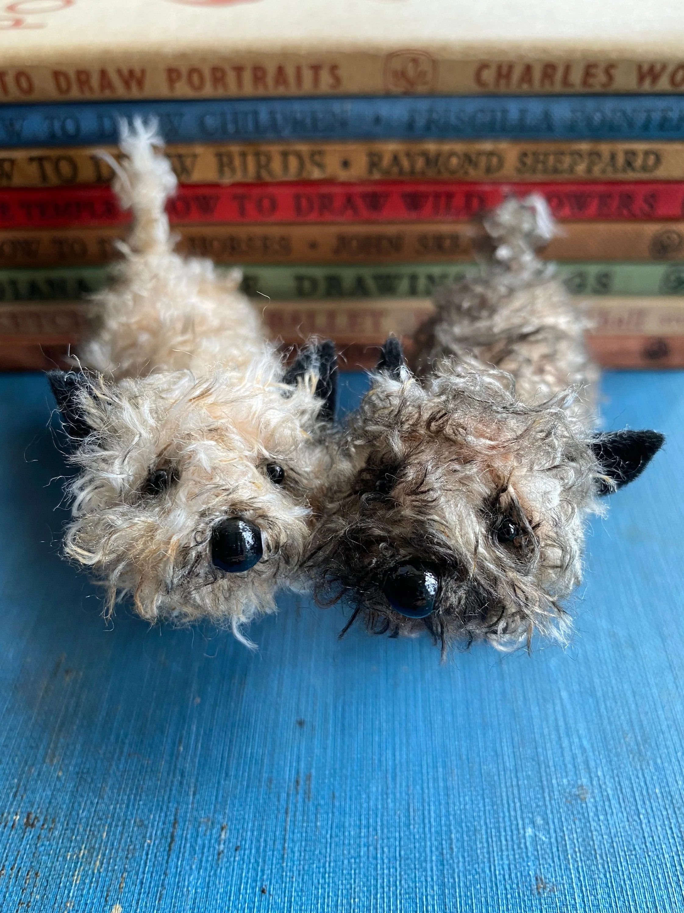 Miniature Cairn Terrier. - Image 8
