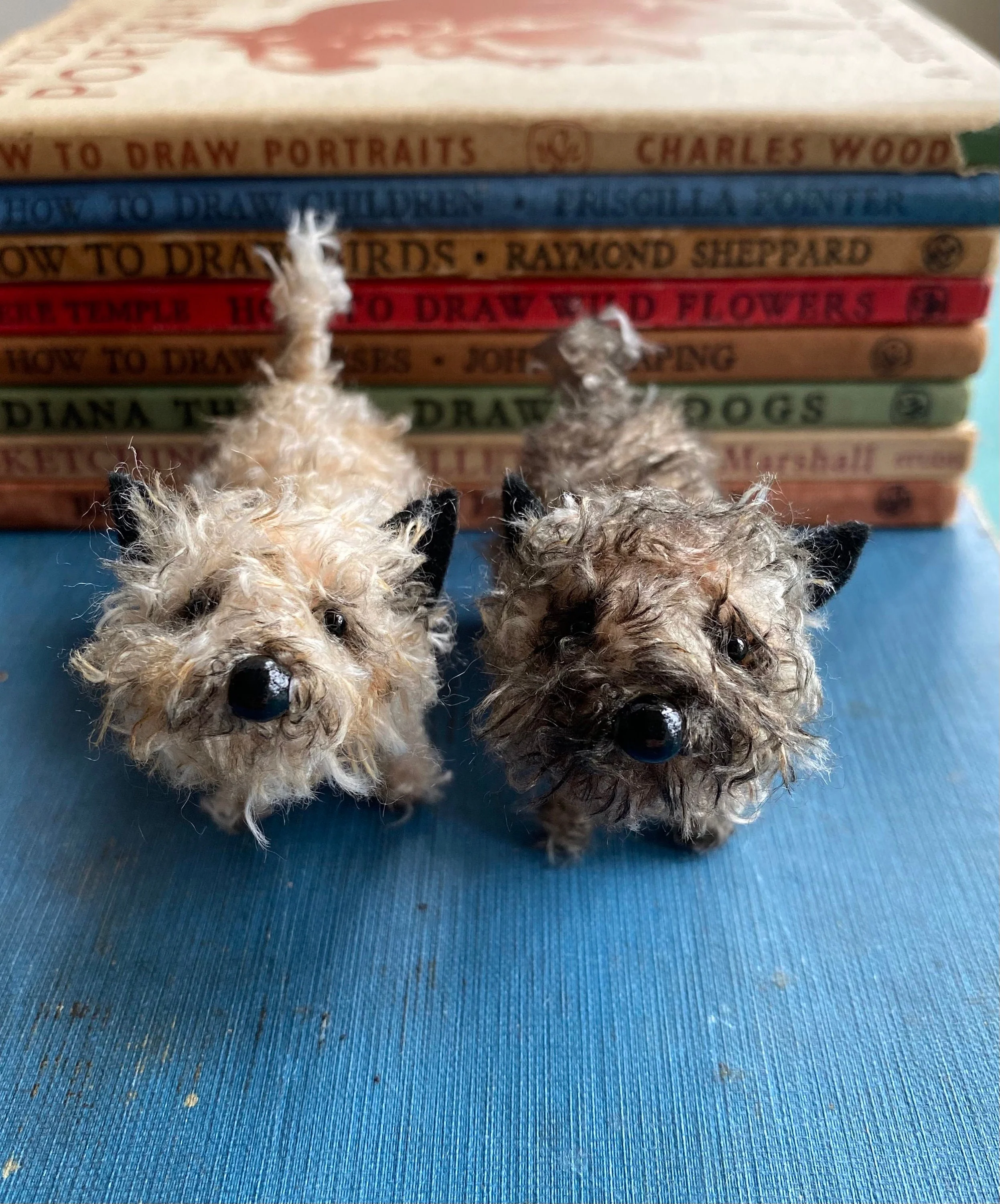 Miniature Cairn Terrier. - Image 9