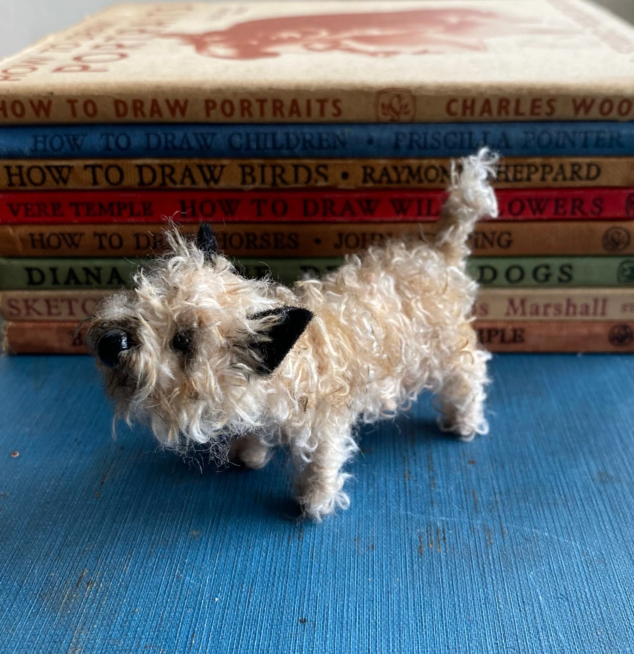 Pale cairn terrier - Image 4