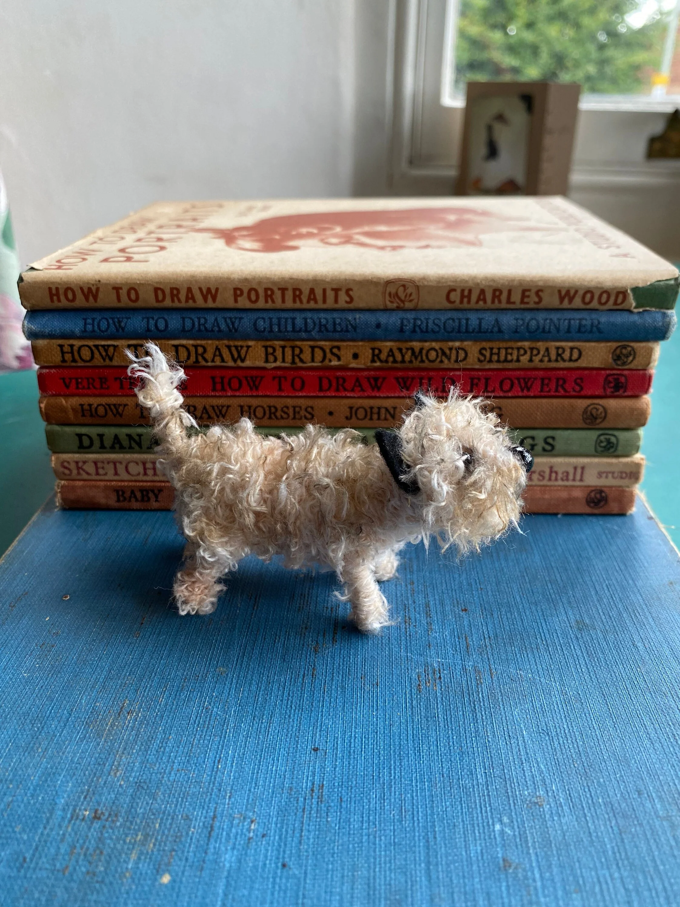 Pale cairn terrier - Image 5