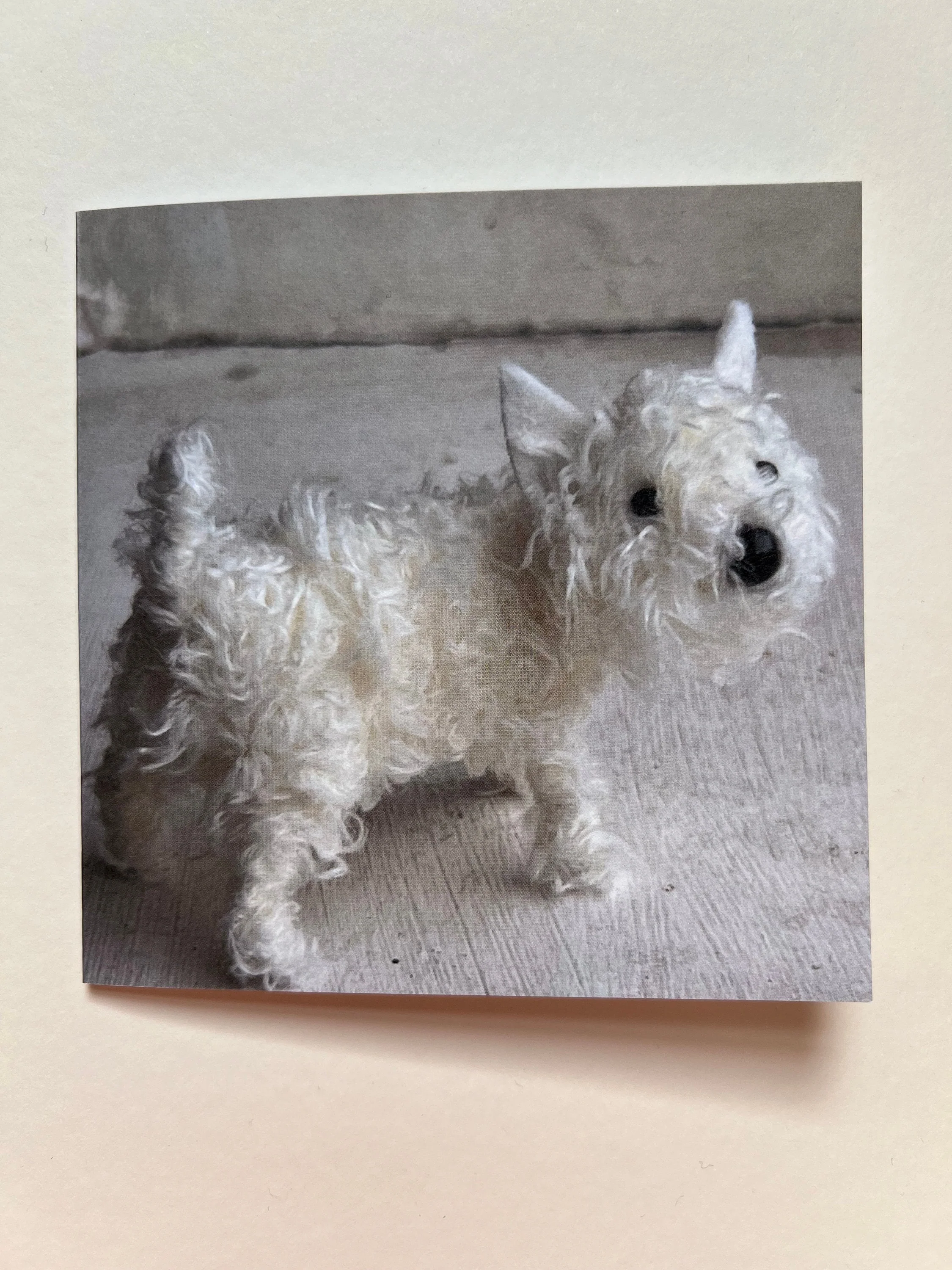 Set of 5 greeting cards - Image 4