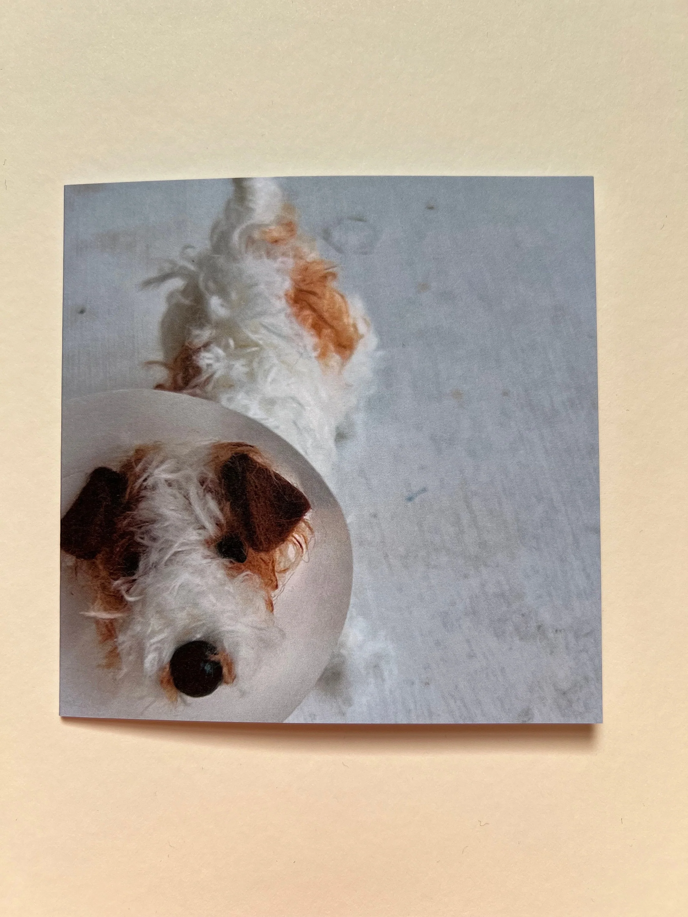 Set of 5 greeting cards - Image 5