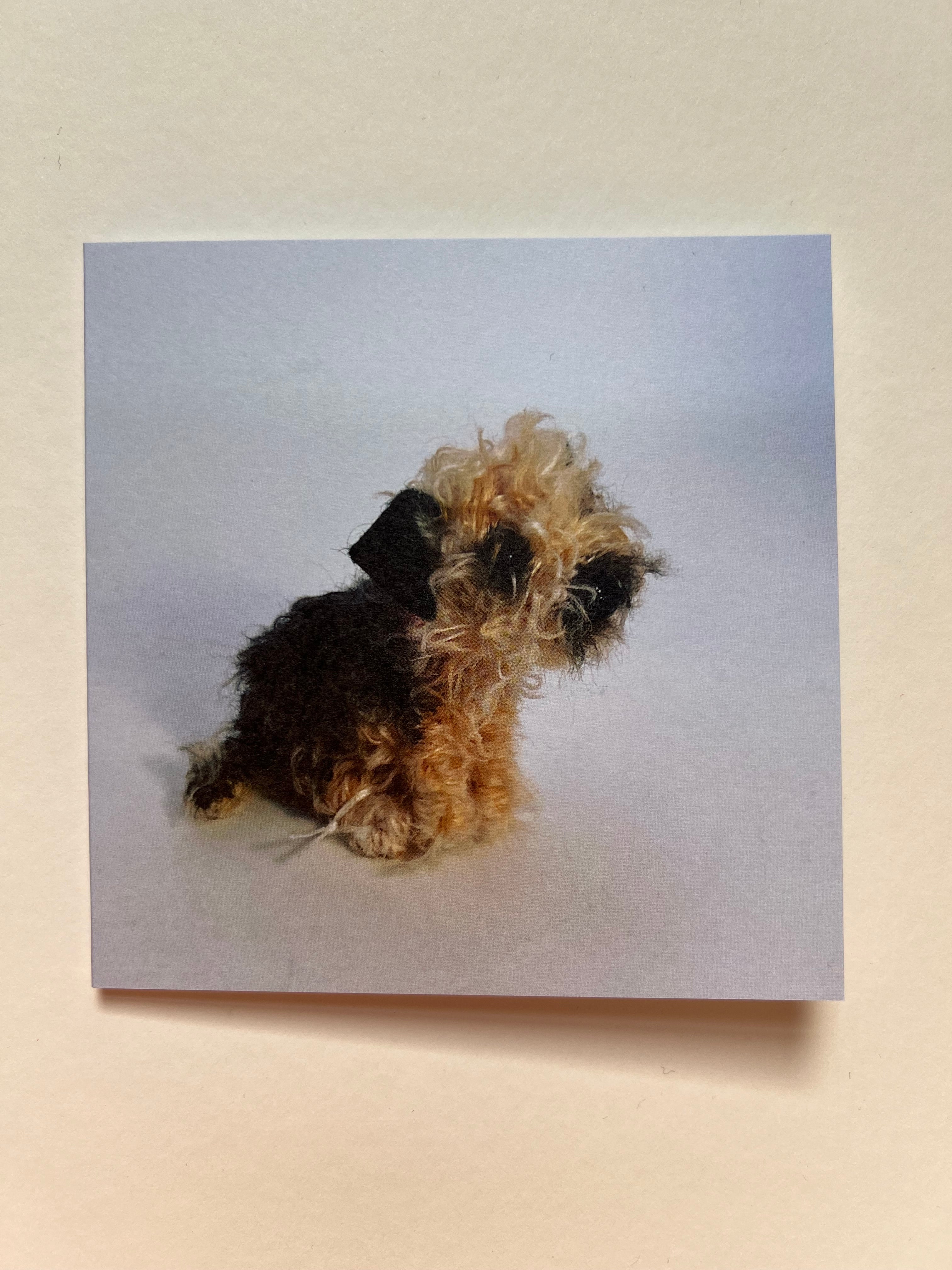 Set of 5 greeting cards - Image 5