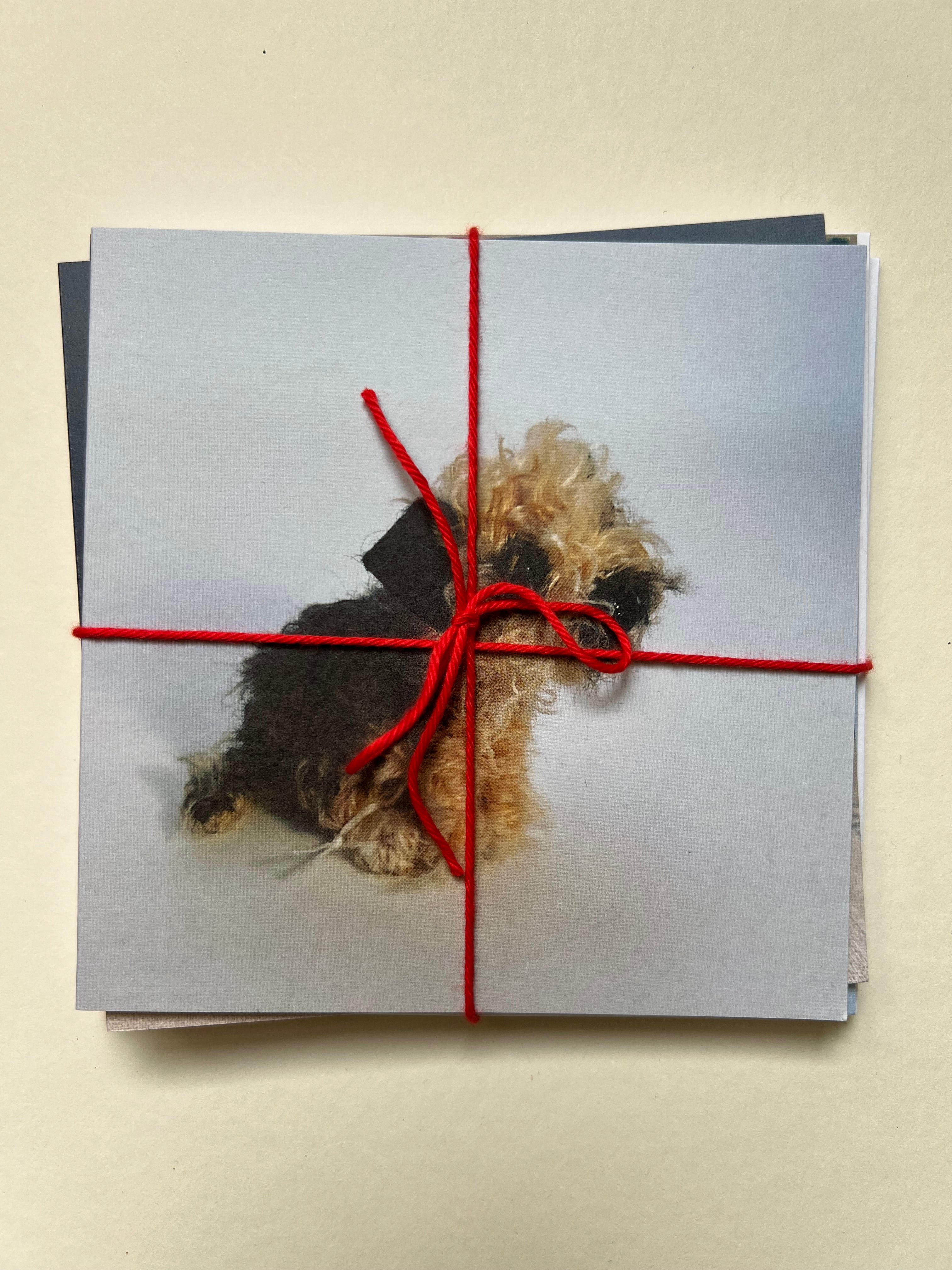Set of 5 greeting cards - Image 7