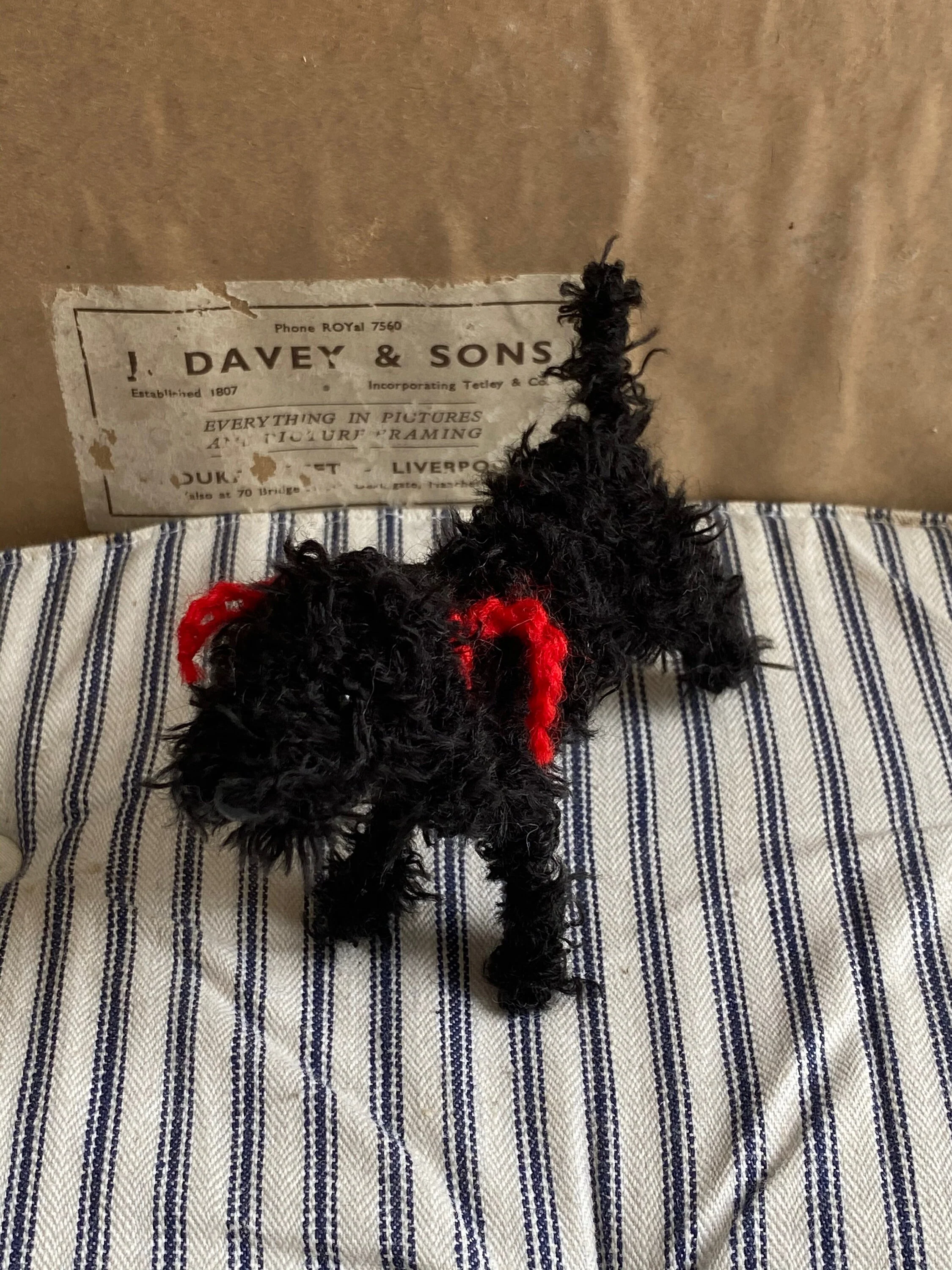 Solid black cockapoo, black labradoodle, black cavapoo. - Image 2