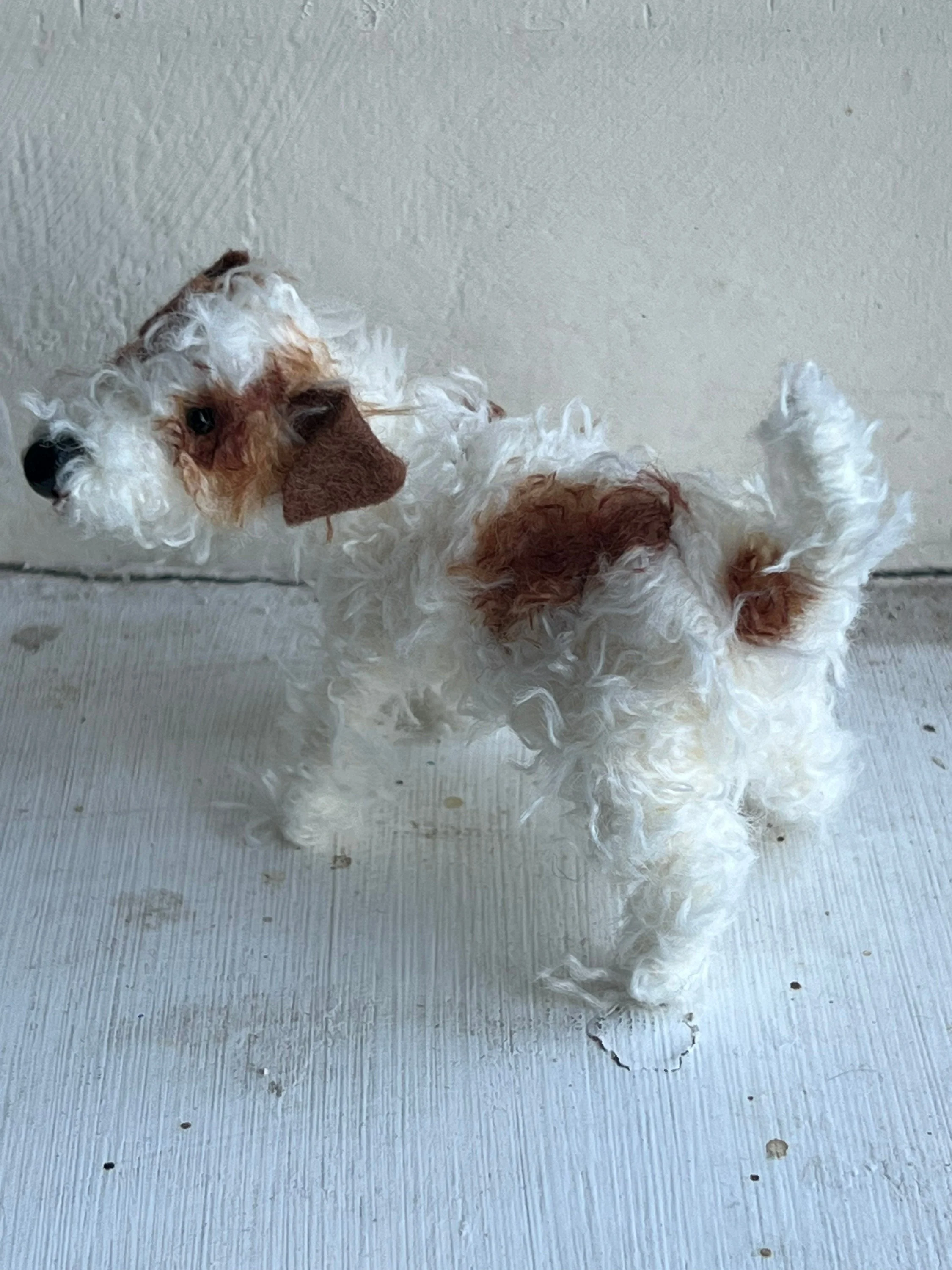 Wire-haired Jack Russell - Image 6