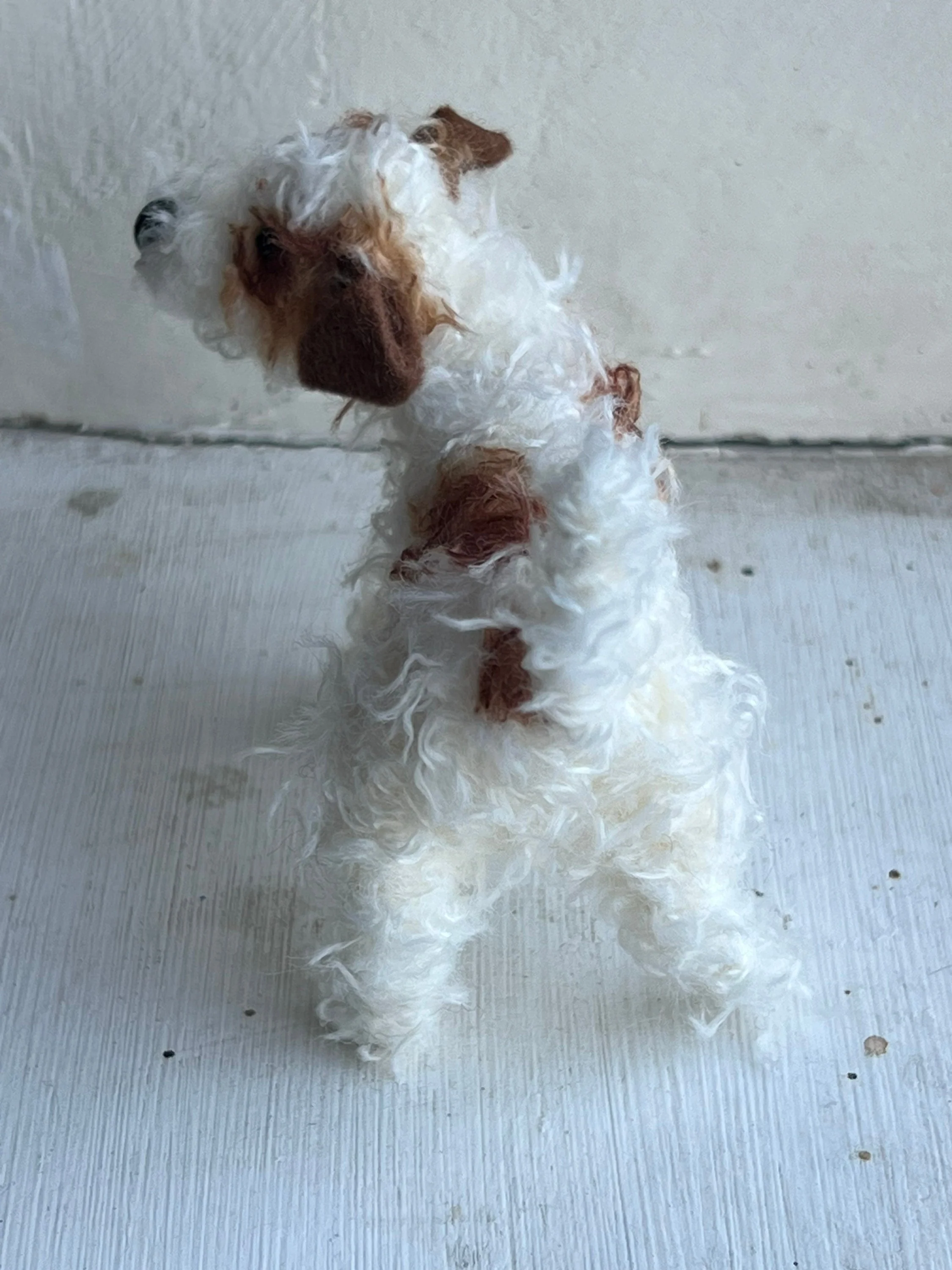 Wire-haired Jack Russell - Image 9
